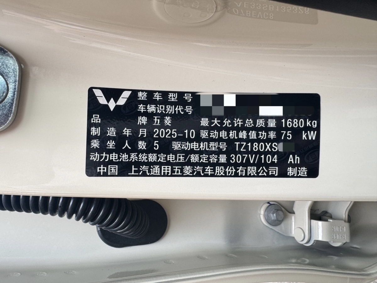 五菱汽车 五菱缤果 2025 汽车图片 #21