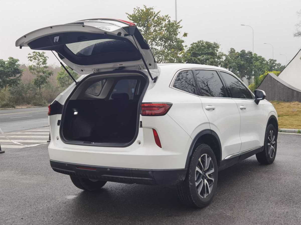 Haval H6 2021 #21 Haval H6 2021 car image #21