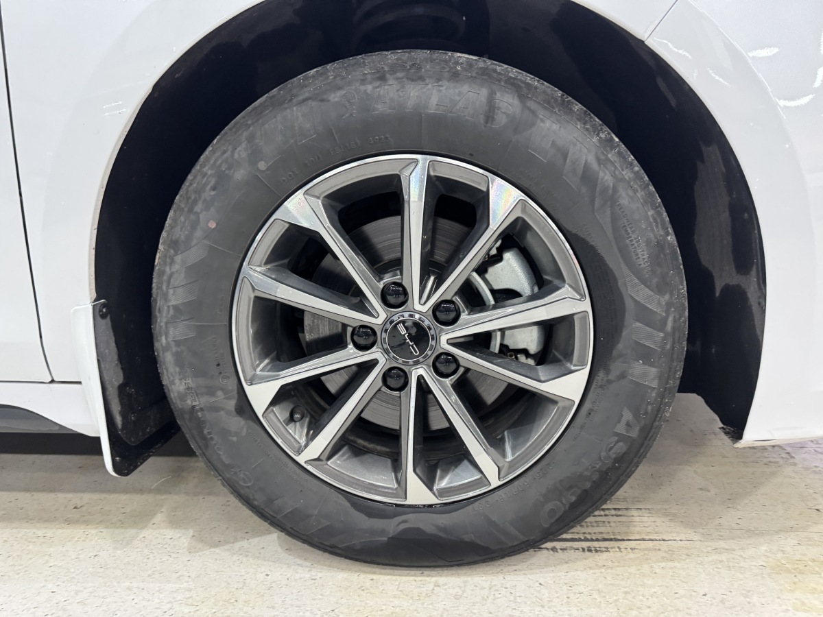 BYD Destroyer 05 2024 imagem de carro #21