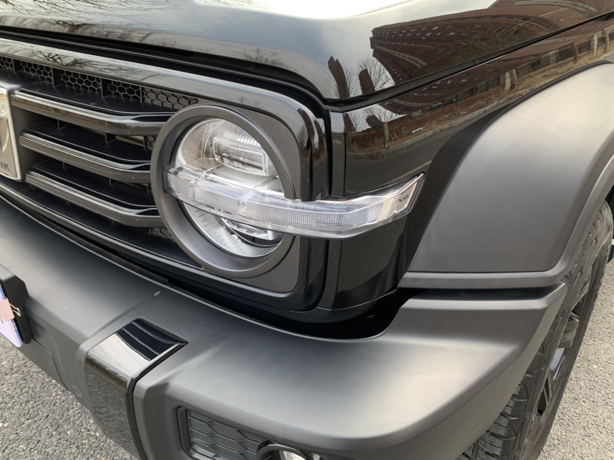 Tank 300 2021 car image #21