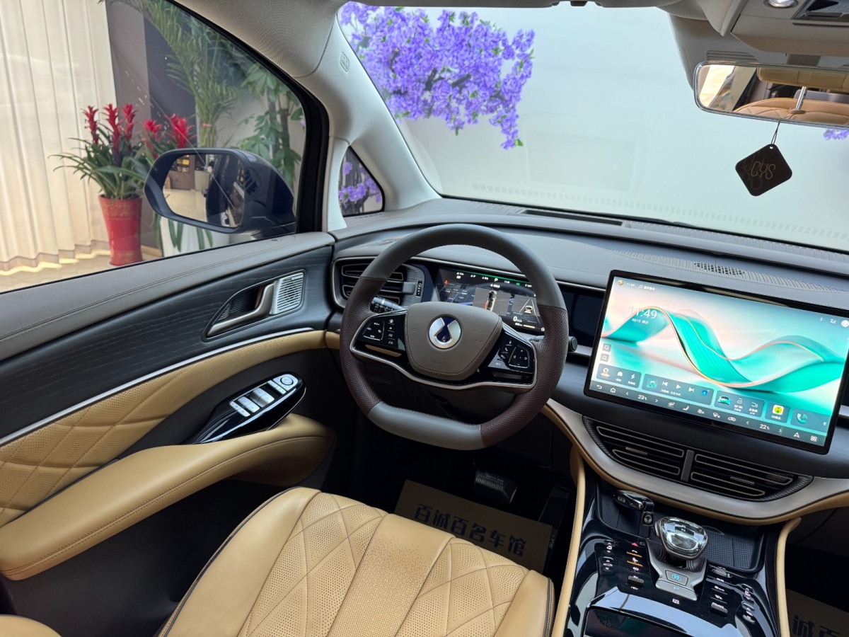 Denza D9 2023 image de voiture #21