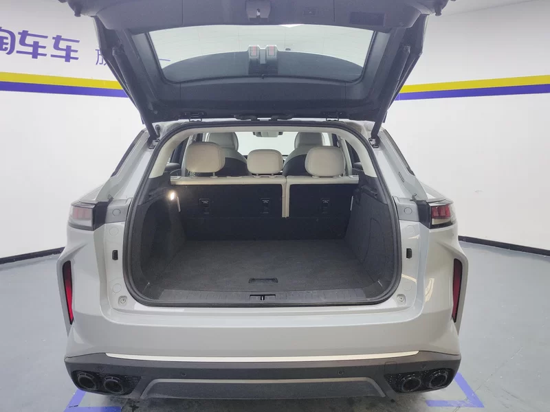 Exceed Yaoguang C-DM 2024 immagine di auto #21