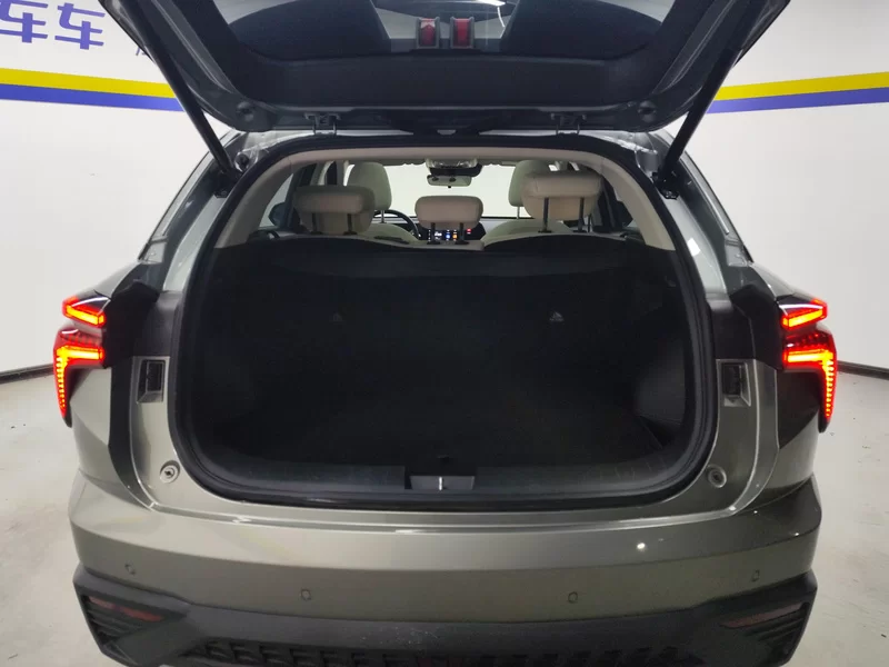 Haval Fierce Dragon 2023 car image #21