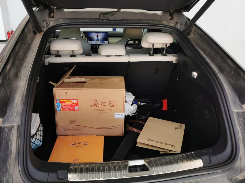 BYD SongL EV 2024 #21 BYD SongL EV 2024 car image #21