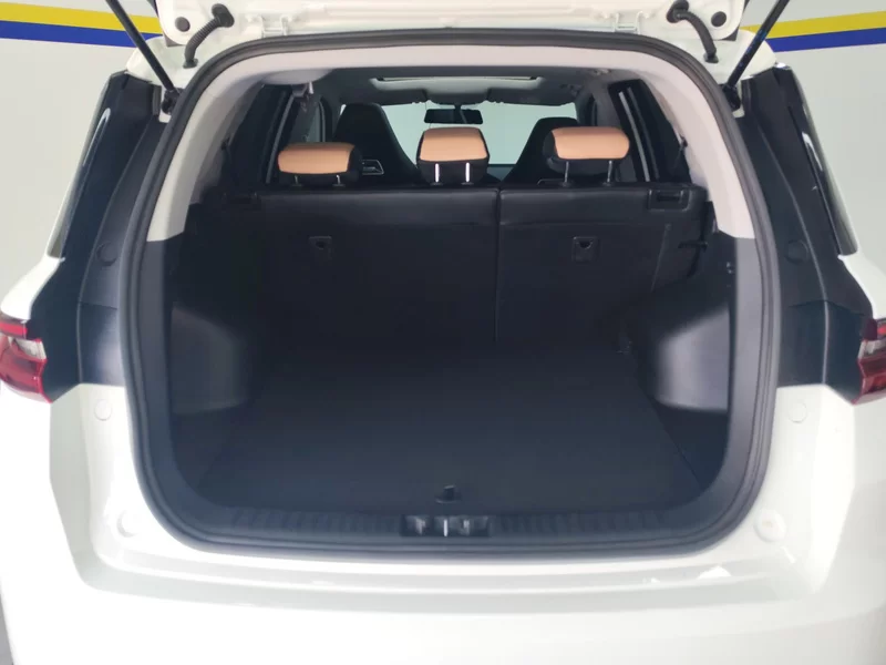 GEELY OkavangoPRO 2024 car image #21