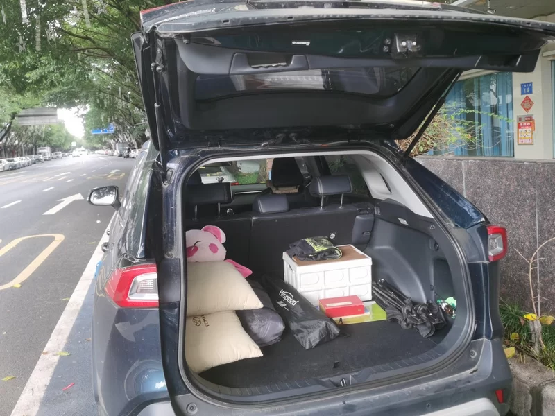 Toyota Wildlander 2021 imagem de carro #21