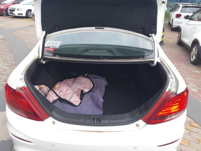 BYD SuRui 2016 #21 BYD SuRui 2016 car image #21