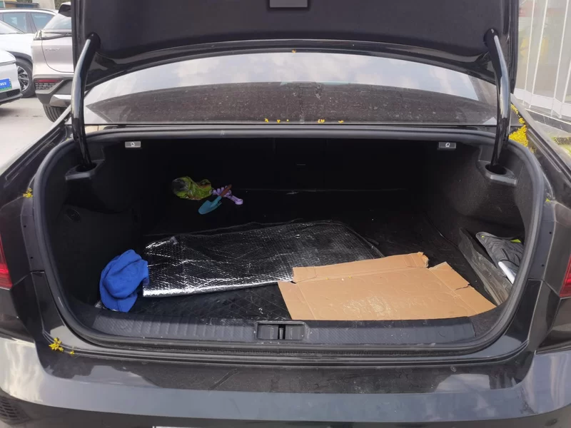 Volkswagen Magotan GTE 2024 car image #21