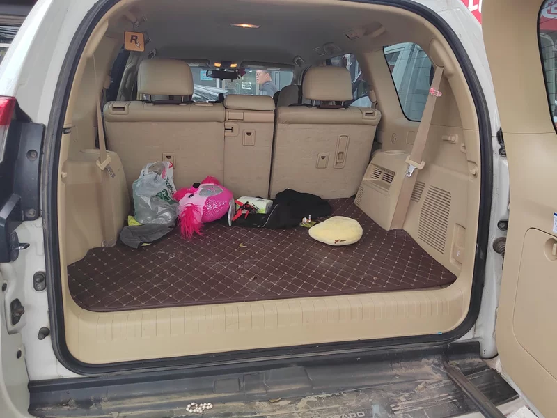 Toyota Prado (Imported) 2016 car image #21