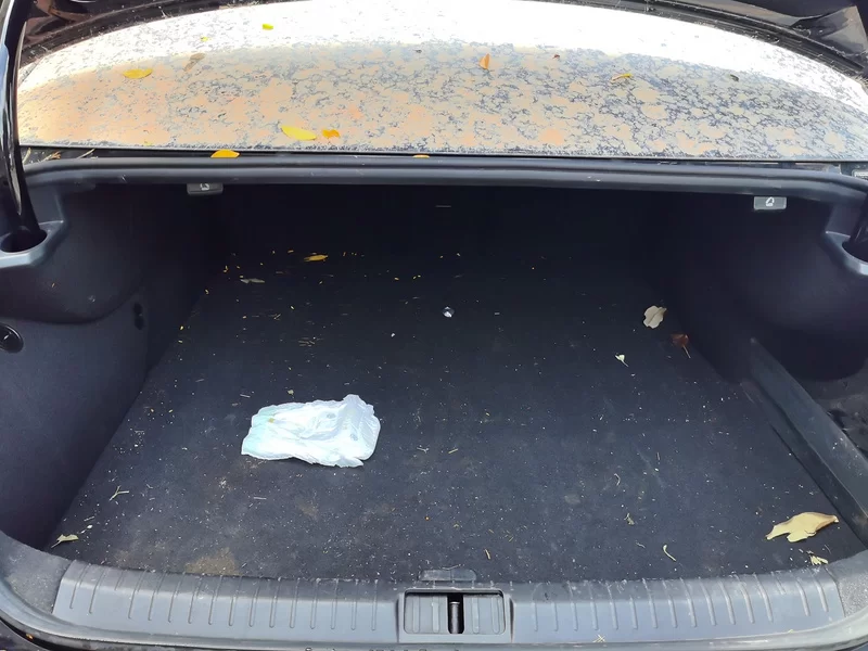 Volkswagen Magotan GTE 2023 car image #21