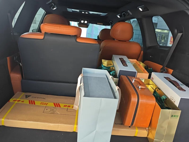 Deepal S09 2025 car image #21