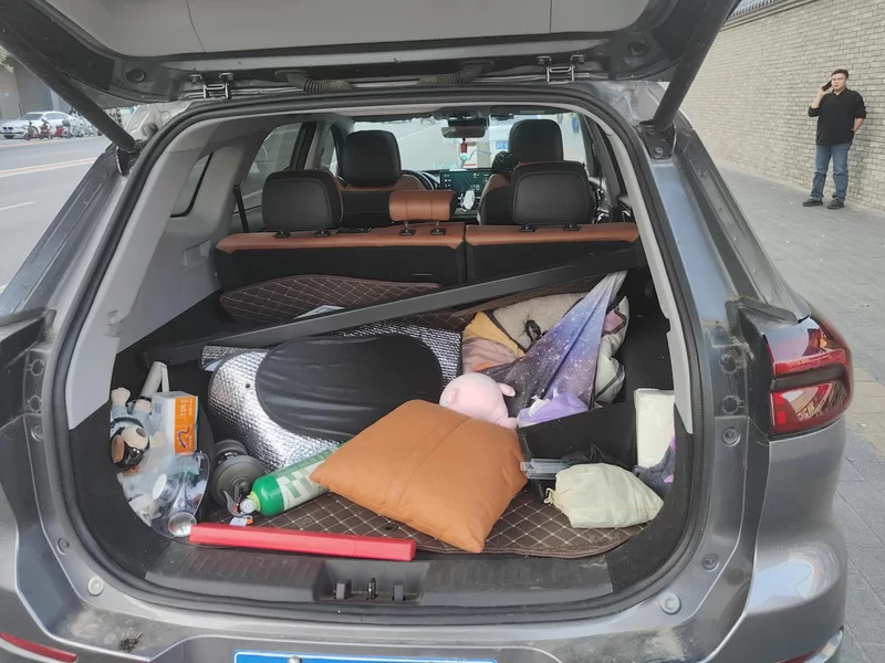 Chery Tiggo 8 Plus e+ 2021 صورة سيارة #21