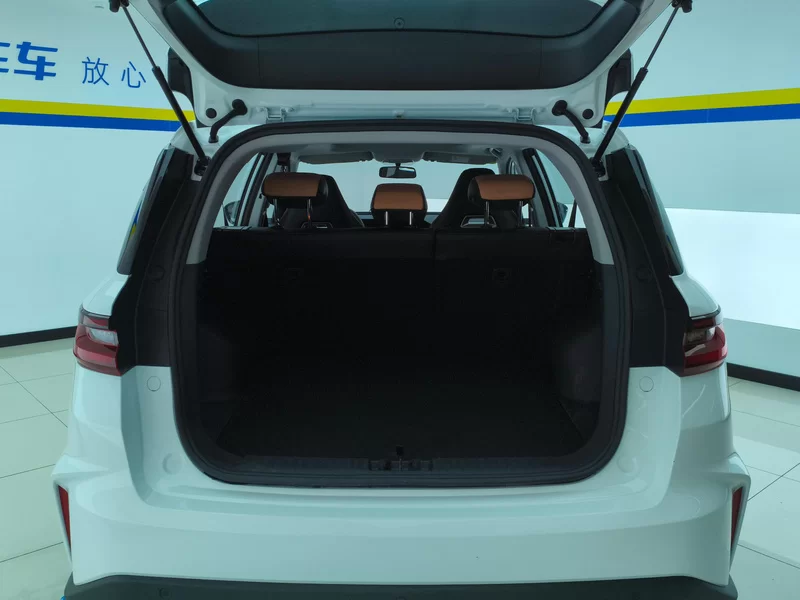 GEELY OkavangoPRO 2025 car image #21