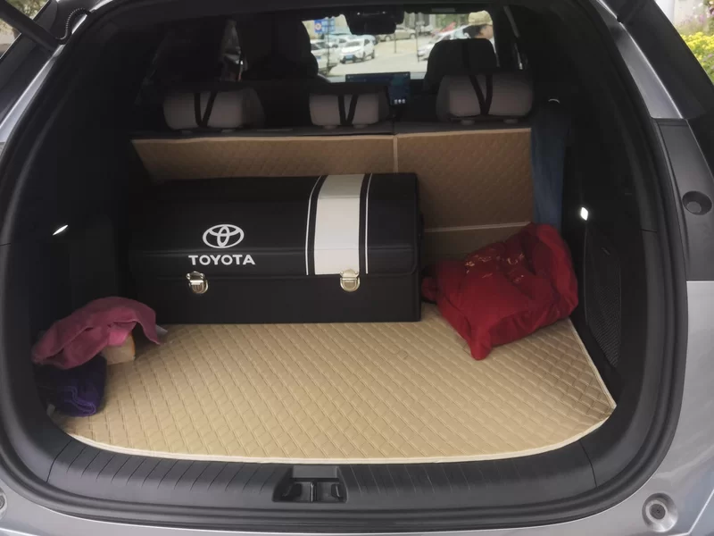 BYD Sea Lion 06 New Energy 2025 car image #21