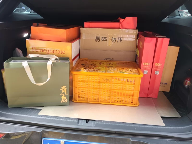 Volkswagen Tavendor 2023 car image #21