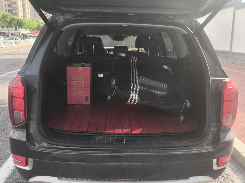 Hyundai Palisade 2021 #21 Hyundai Palisade 2021 car image #21