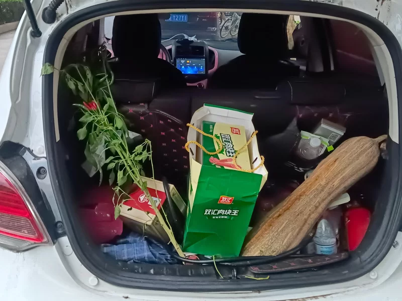 Changan BenBen E-Star 2021 #21 Changan BenBen E-Star 2021 car image #21