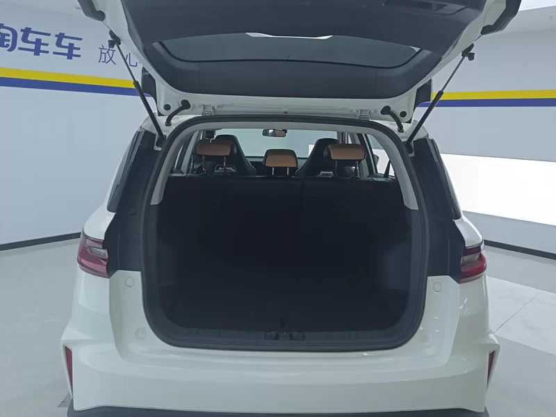 GEELY OkavangoPRO 2024 car image #21