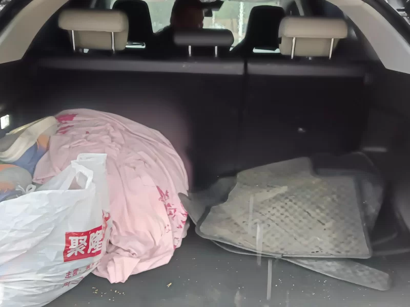 Changan UNI-Z 2025 immagine di auto #21