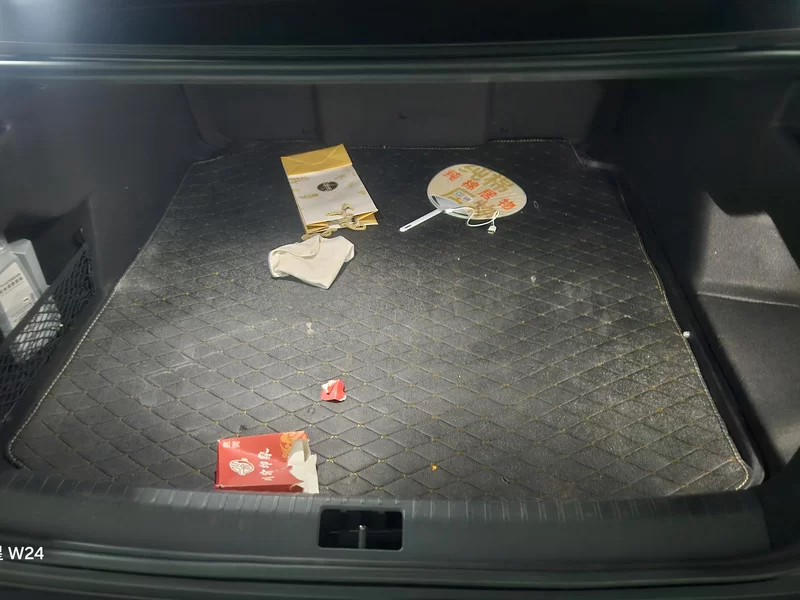 Volkswagen Phideon 2019 immagine di auto #21