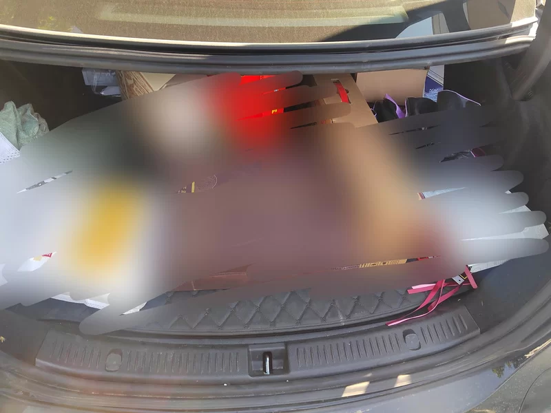 Mercedes-Benz E Class New Energy 2021 car image #21