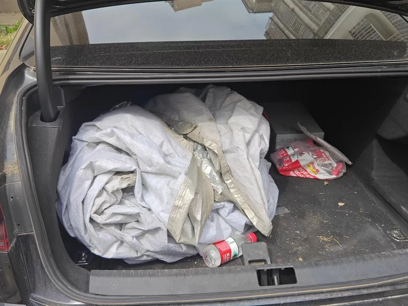 Volkswagen Phideon 2019 immagine di auto #21