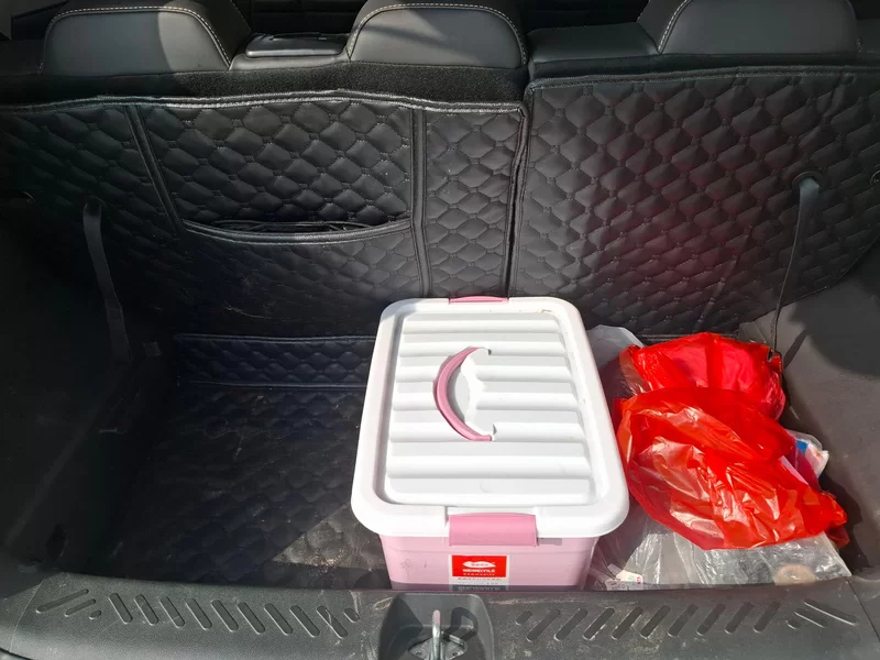 Kaiyi Shiyue 2025 car image #21