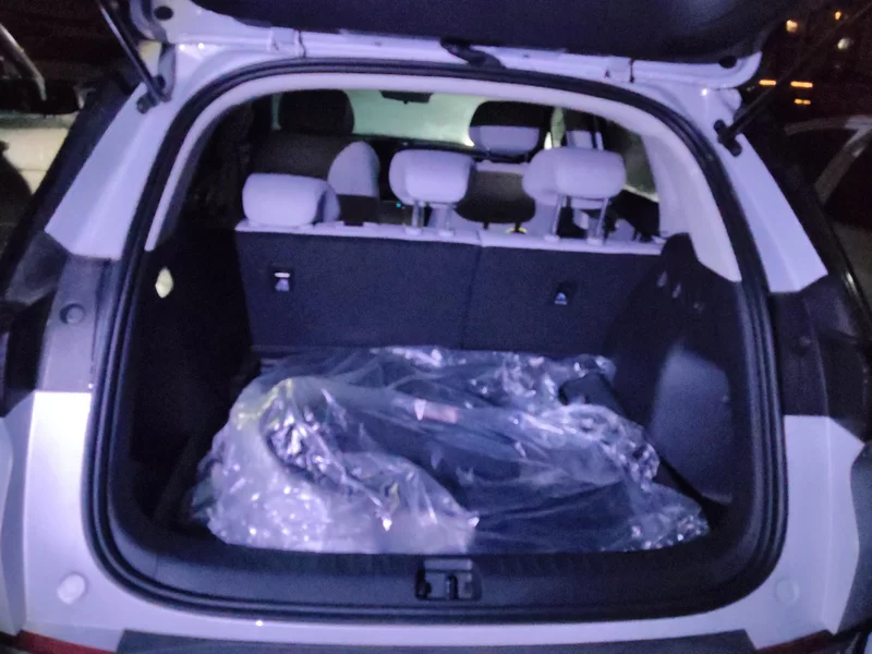 BYD Sea Lion 05 EV 2025 car image #21