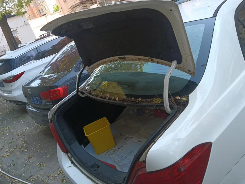 BYD SuRui 2015 car image #21