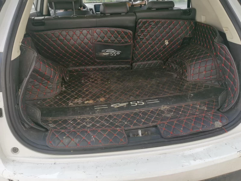 Changan CS55 2018 imagen de coche #21