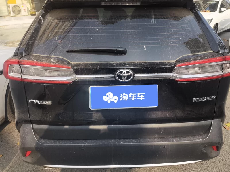 Toyota Wildlander 2022 imagem de carro #21