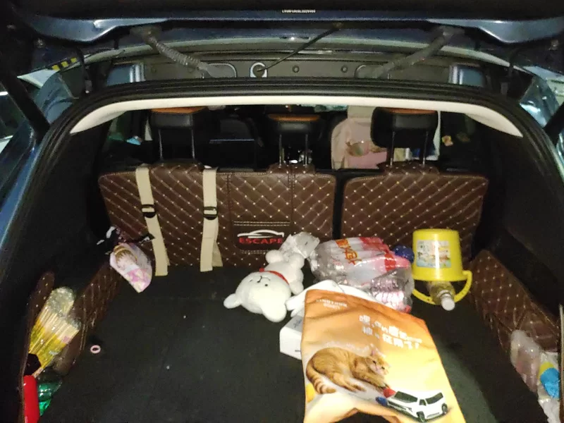 Ford Escape 2020 #21 Ford Escape 2020 immagine di auto #21