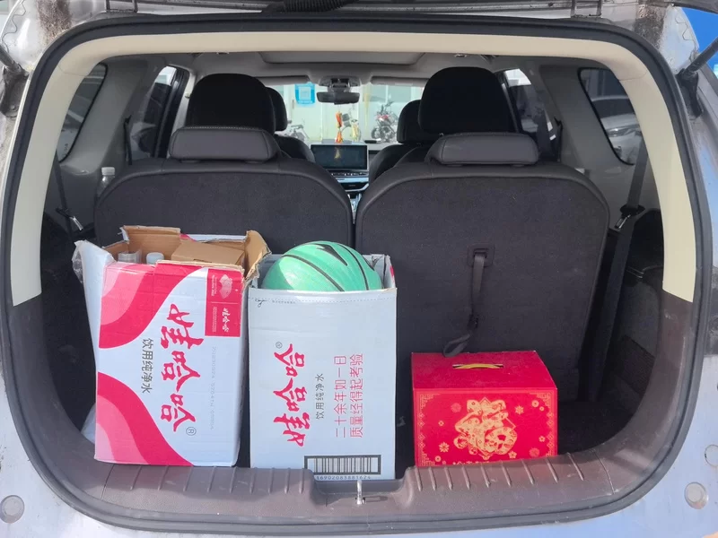 GEELY JiaJi 2020 immagine di auto #21