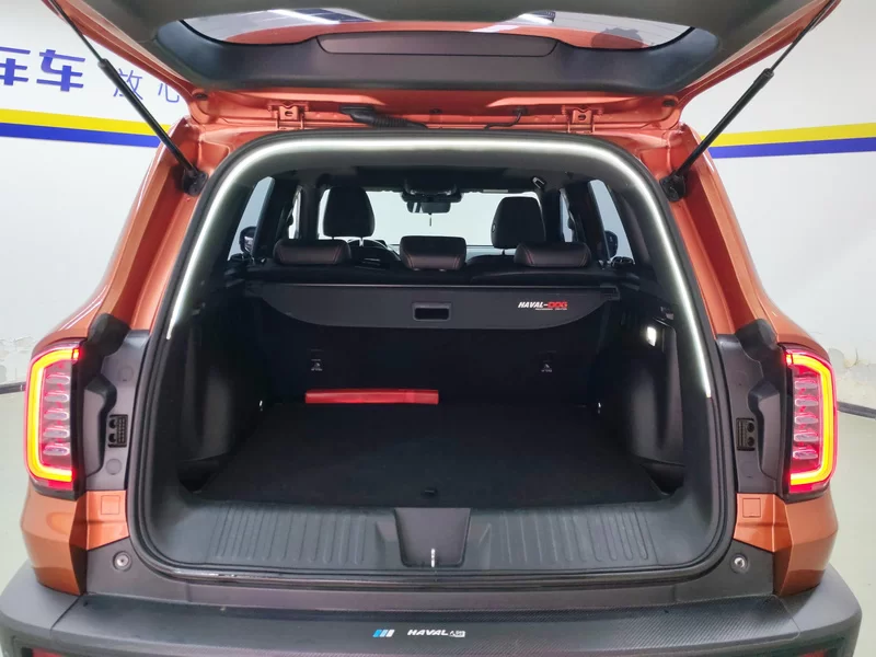 Haval X Dog / Dargo 2021 #21 Haval X Dog / Dargo 2021 صورة سيارة #21
