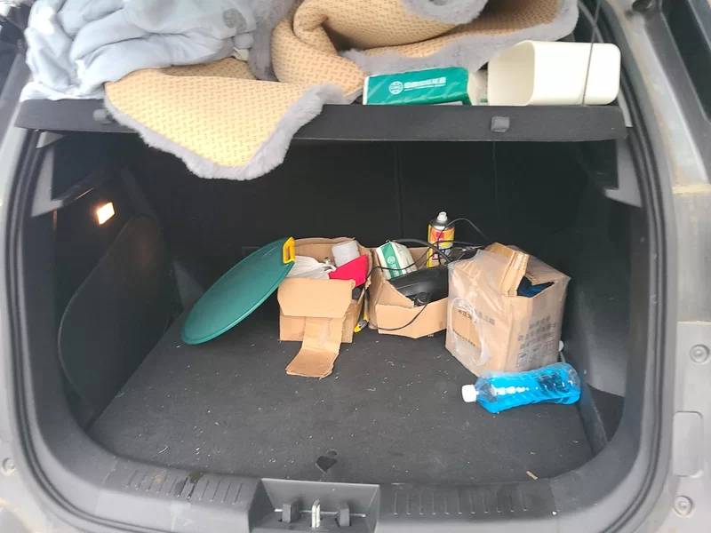 Kaiyi Showjet Pro 2022 #21 Kaiyi Showjet Pro 2022 car image #21