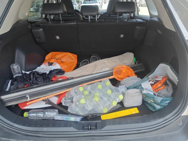 Toyota Wildlander 2020 imagem de carro #21