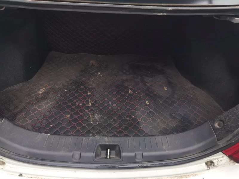 BYD SuRui 2015 #21 BYD SuRui 2015 car image #21