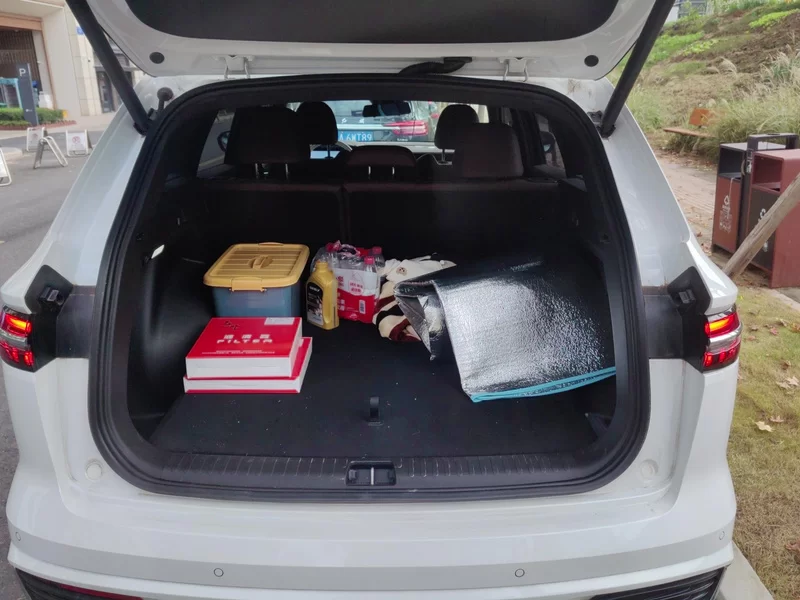 GEELY Tugella 2024 car image #21