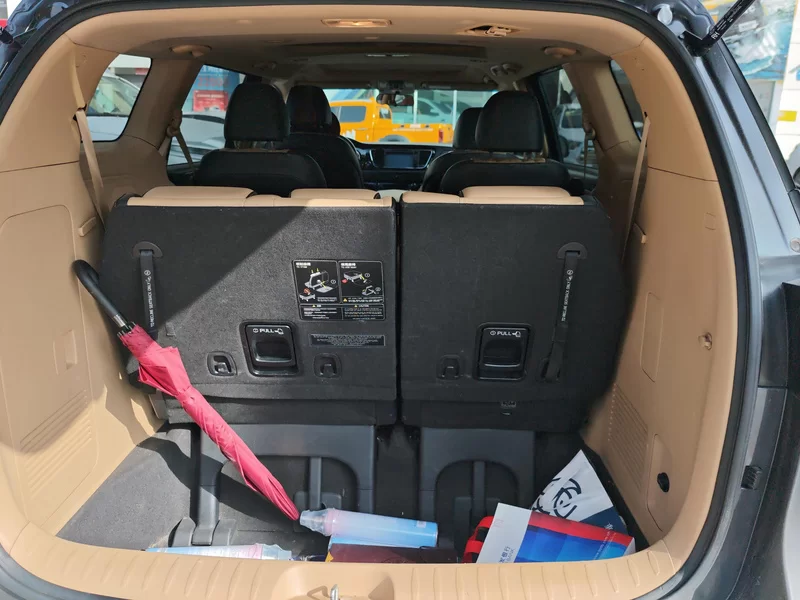 Kia Carnival (Imported) 2016 immagine di auto #21