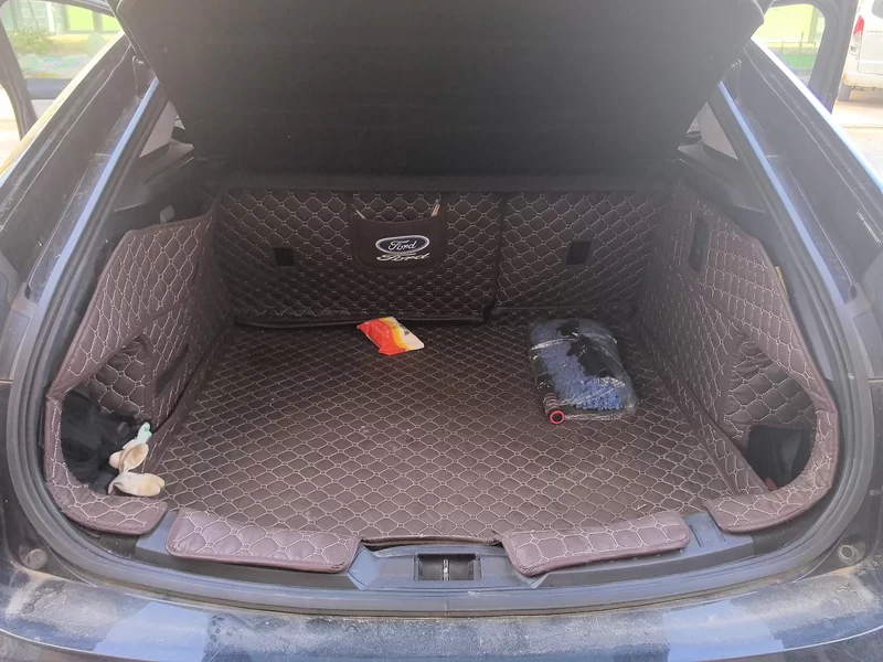 Ford Evos 2021 immagine di auto #21