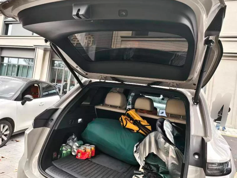 Li L6 2025 car image #21