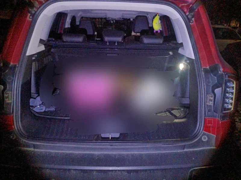 Haval X Dog / Dargo 2021 #21 Haval X Dog / Dargo 2021 car image #21