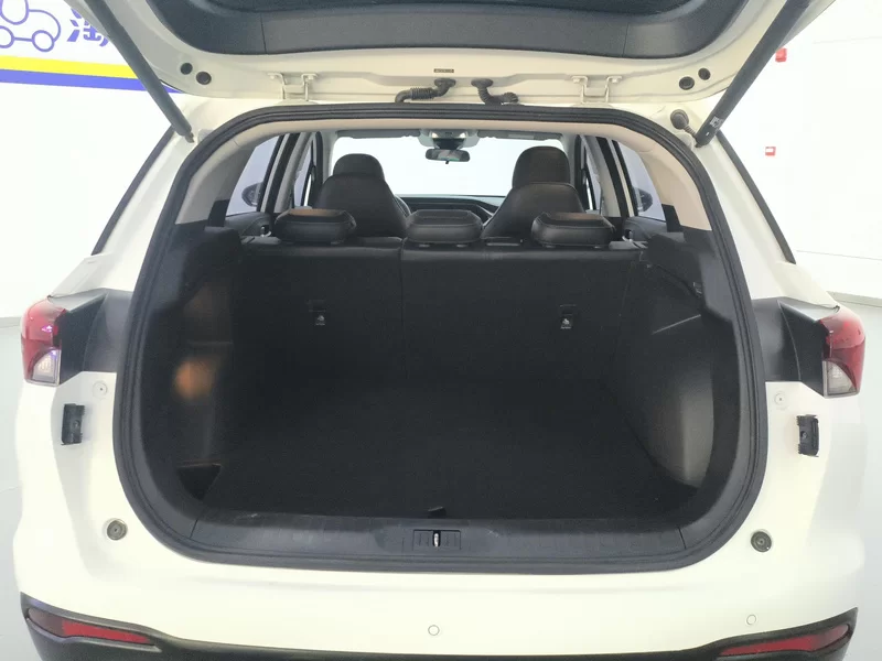 GAC Trumpchi GS4 2022 immagine di auto #21