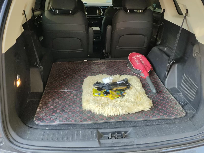 Jetour X90 PRO 2019 immagine di auto #21