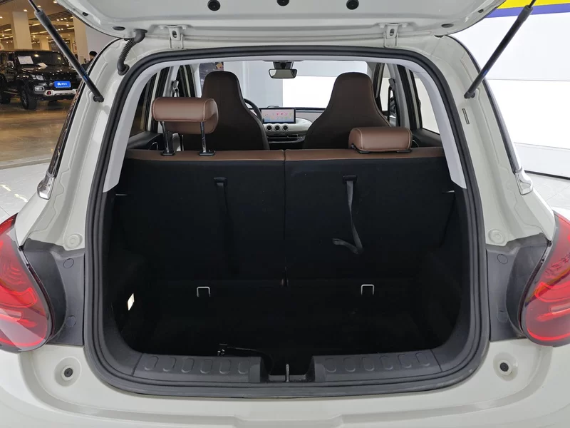 五菱汽车 五菱缤果 2023 汽车图片 #21