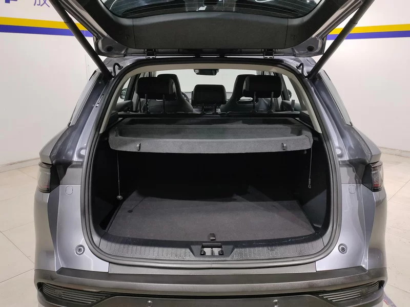 BYD Sea Lion 05 DM-i 2025 car image #21