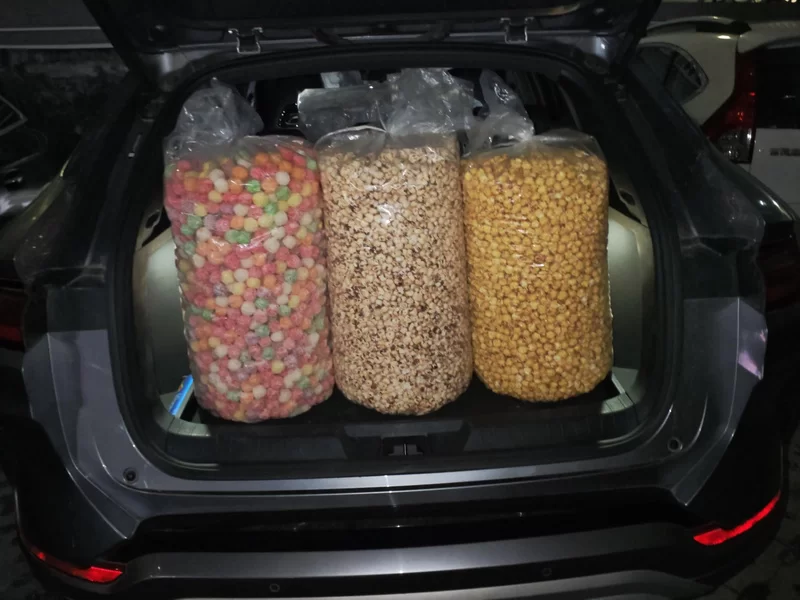 BYD Song Plus New Energy 2023 #21 BYD Song Plus New Energy 2023 car image #21