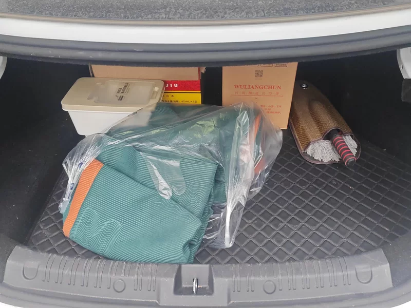 BYD Qin L 2024 car image #21