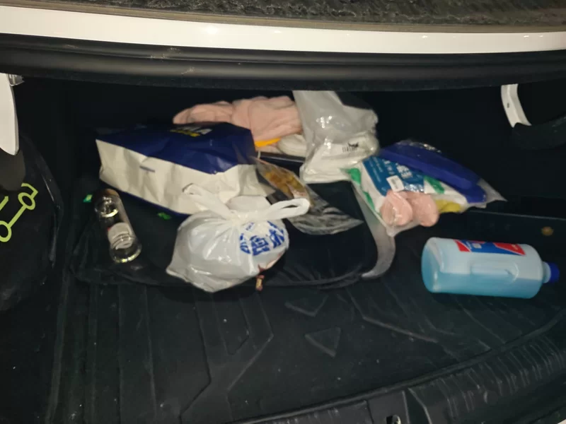 BYD Qin L 2025 #21 BYD Qin L 2025 car image #21