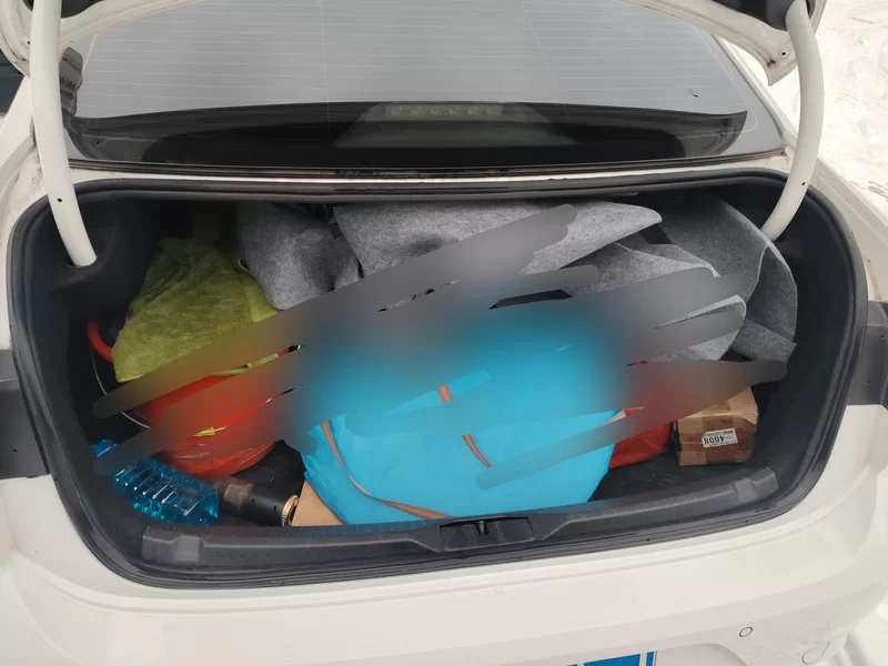 Volkswagen Lamando 2017 immagine di auto #21